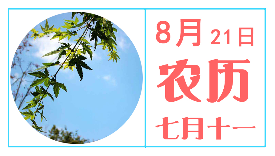 8月21日.jpg