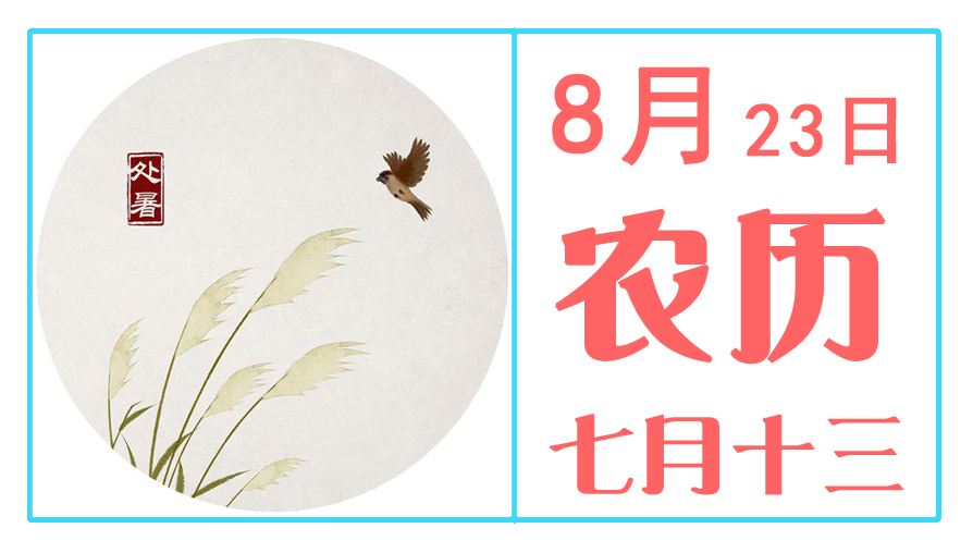 8月23日.jpg