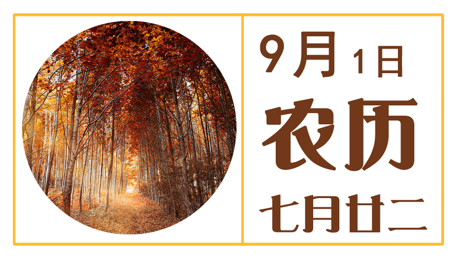 9月1日.jpg