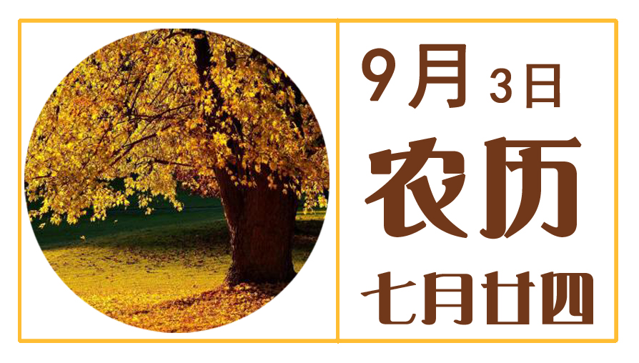 9月3日.jpg
