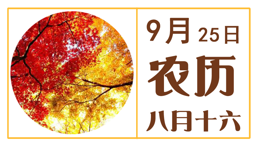 9月25日.jpg