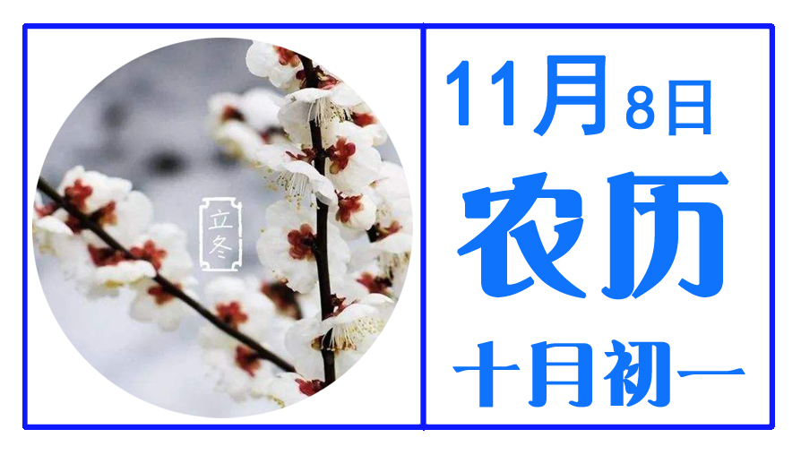 11月8日.jpg
