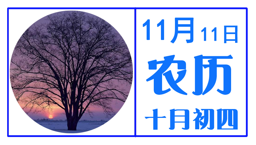 11月11日.jpg
